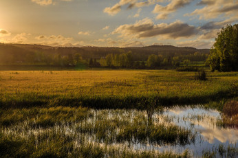 Картинка природа пейзажи простор