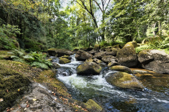 Картинка природа реки озера простор