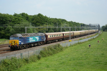 Картинка техника поезда состав локомотив