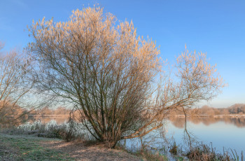 Картинка природа реки озера простор