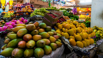 Картинка еда фрукты+и+овощи+вместе снедь