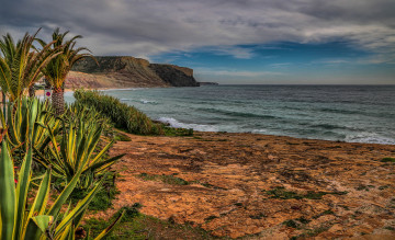 Картинка природа побережье простор