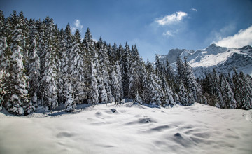 Картинка природа зима простор