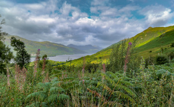 Картинка природа пейзажи простор