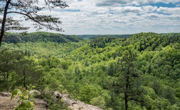 Картинка природа пейзажи простор