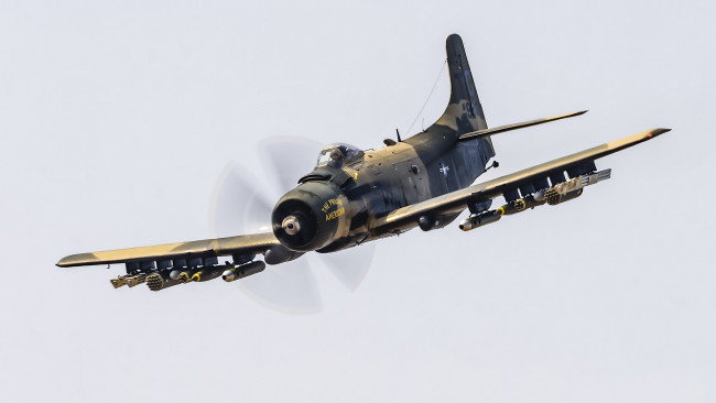 Обои картинки фото douglas ad-4n skyraider, авиация, боевые самолёты, истребитель