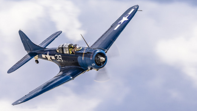 Обои картинки фото douglas sbd-5 dauntless, авиация, боевые самолёты, истребитель