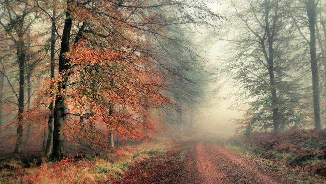 Обои картинки фото природа, дороги, простор