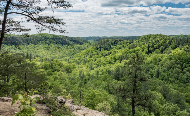 Обои картинки фото природа, пейзажи, простор