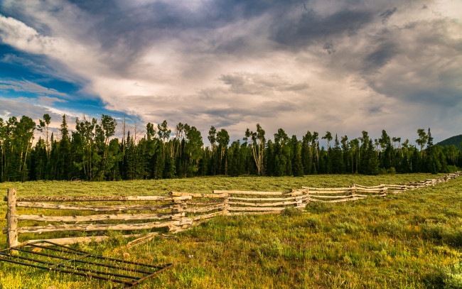 Обои картинки фото природа, луга, поле, лето, забор