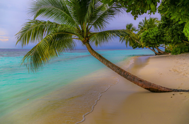 Обои картинки фото природа, тропики, простор