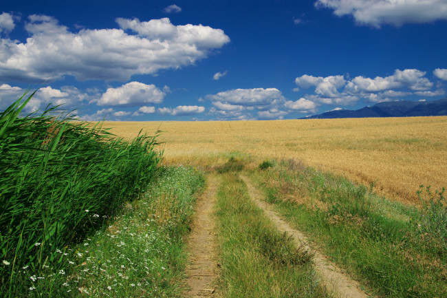 Обои картинки фото природа, дороги, простор