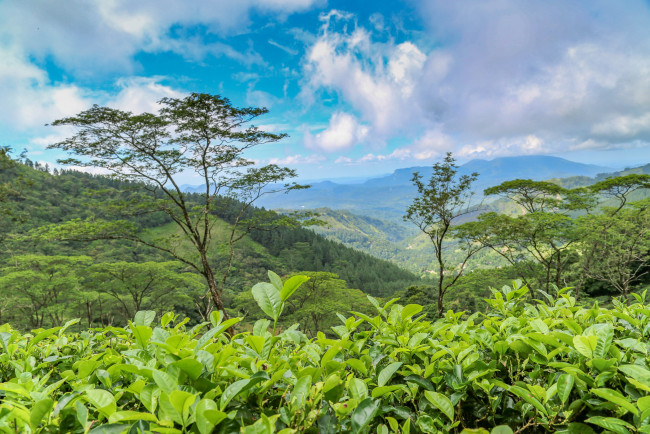 Обои картинки фото природа, пейзажи, простор