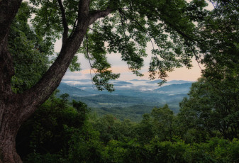 Картинка природа пейзажи простор