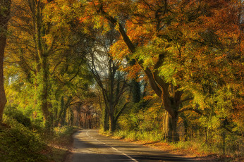 Картинка природа дороги простор