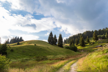 Картинка природа дороги простор