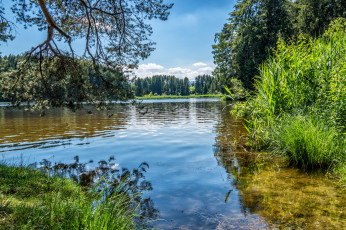 Картинка природа реки озера простор