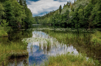 Картинка природа реки озера простор