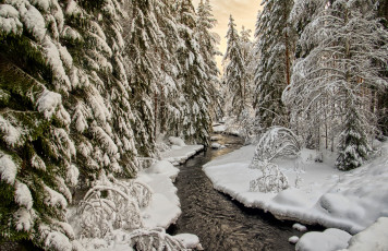 Картинка природа зима простор