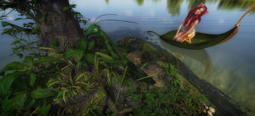 Картинка 3д+графика существа+ creatures фон взгляд девушка