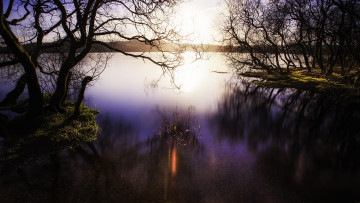 Картинка природа реки озера утро