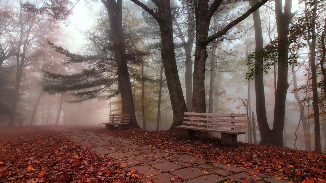 Обои картинки фото природа, парк, паркскамейки