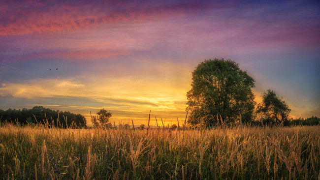 Обои картинки фото природа, восходы, закаты, простор