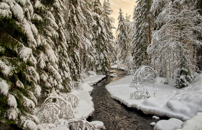 Обои картинки фото природа, зима, простор