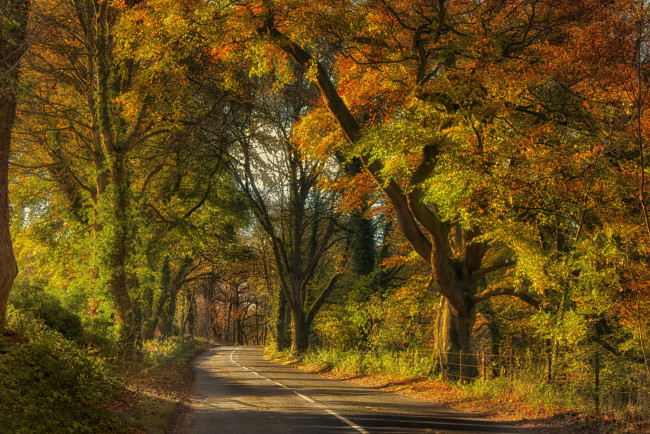 Обои картинки фото природа, дороги, простор