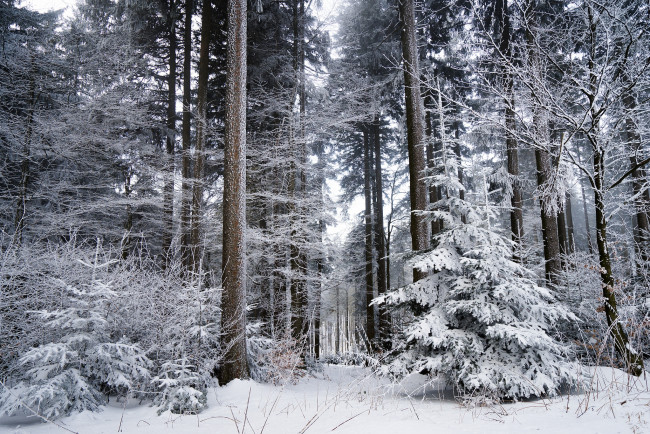 Обои картинки фото природа, зима, простор