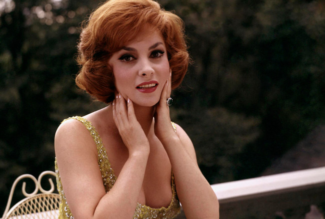 Обои картинки фото gina lollobrigida, девушки, gina, lollobrigida, девушка, актриса, италия, кино, звезда, мировое, красавица, портрет, макияж, фотография, взгляд