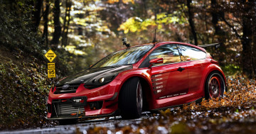 Картинка ford+focus автомобили виртуальный+тюнинг красный лес листья осень