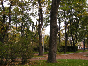 Картинка города