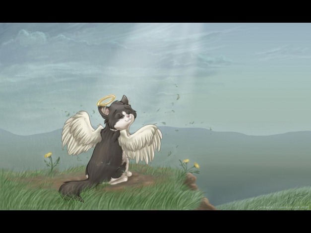 Обои картинки фото рисованные, животные, сказочные, мифические, котенок, ангел, крылья