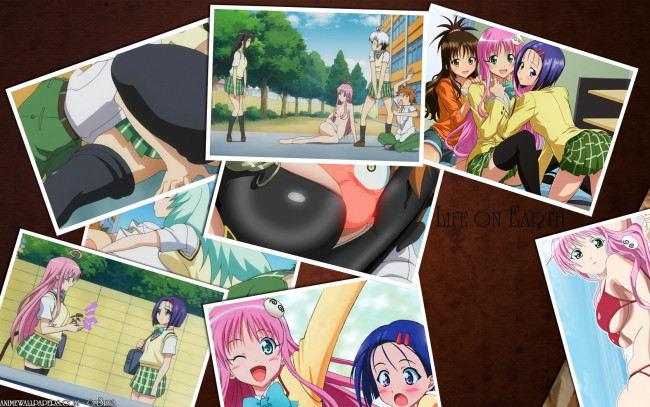 Обои картинки фото аниме, to, love, ru