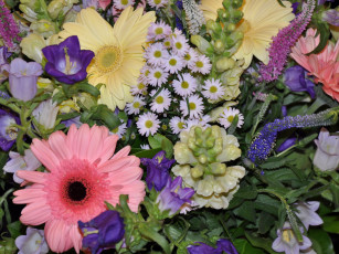 Картинка цветы букеты композиции