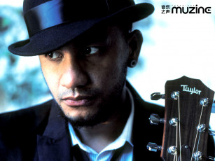 Картинка muzine бренды