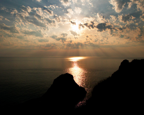 Обои картинки фото 