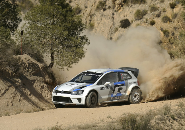 Обои картинки фото volkswagen, polo, wrc, спорт, авторалли, ралли