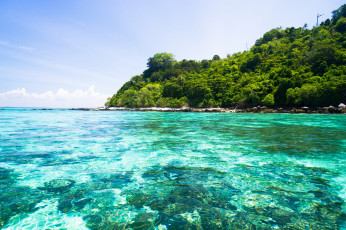 Картинка природа тропики пляж море солнышко песок пальмы