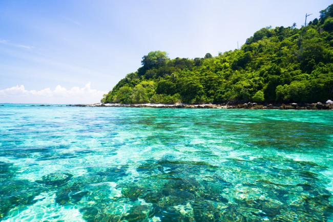 Обои картинки фото природа, тропики, пляж, море, солнышко, песок, пальмы