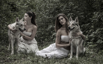 Картинка девушки -unsort+ брюнетки +шатенки природа собаки