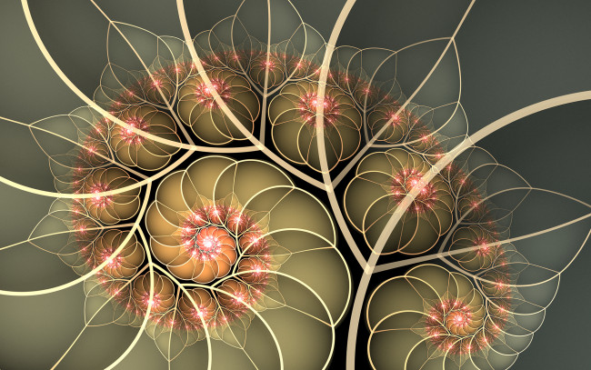 Обои картинки фото 3д графика, фракталы , fractal, фон, узор, цвета