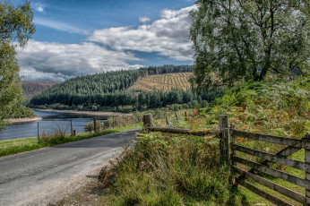 Картинка природа пейзажи простор