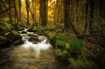 Картинка природа реки озера простор