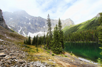 Картинка природа реки озера простор