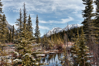 Картинка природа реки озера простор