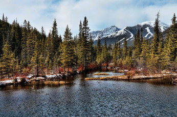 Картинка природа реки озера простор