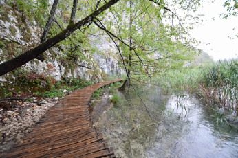 Картинка природа реки озера простор