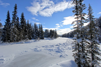 Картинка природа зима простор